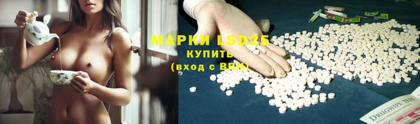 тгк Горняк