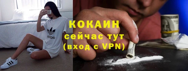 тгк Горняк