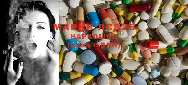 mdpv Горно-Алтайск