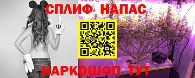 скорость Аргун