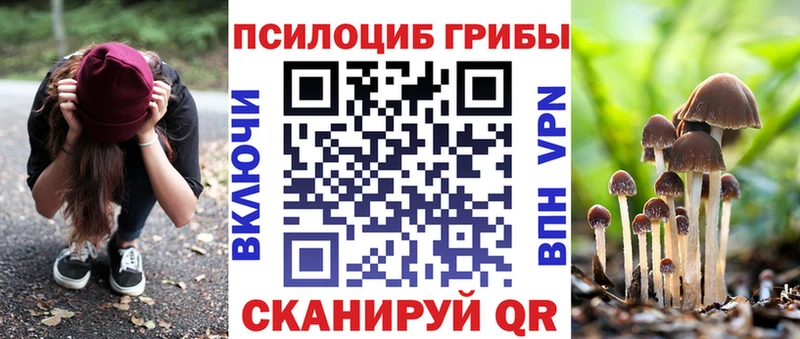 хочу   Назарово  Галлюциногенные грибы мухоморы 