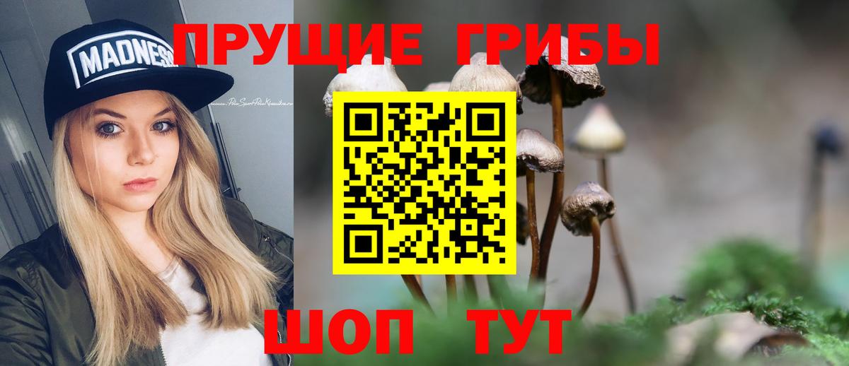 Псилоцибиновые грибы Magic Shrooms Назарово